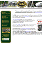 Mobile Screenshot of inoanorton.com